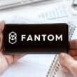 fantom-adopts-use-of-burn-fees-to-fund-ecosystem-projects