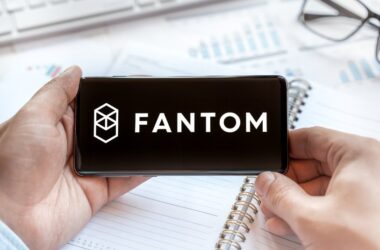 fantom-adopts-use-of-burn-fees-to-fund-ecosystem-projects