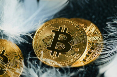 bitcoin-is-not-like-the-rest-of-crypto,-says-swan-bitcoin’s-ceo