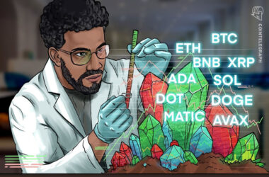 price-analysis-8/3:-btc,-eth,-bnb,-xrp,-ada,-sol,-doge,-dot,-matic,-avax