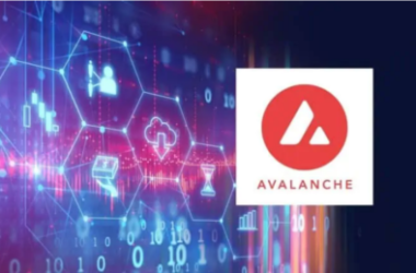 avax-holds-steady-and-sets-sights-on-$50-barrier-breach