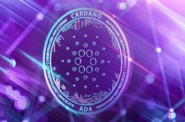 cardano-price-sits-pretty-at-$0.5,-why-a-breakout-is-on-the-horizon