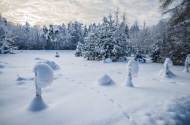 coinbase-ceo-says-crypto-winter-might-last-another-12-18-months