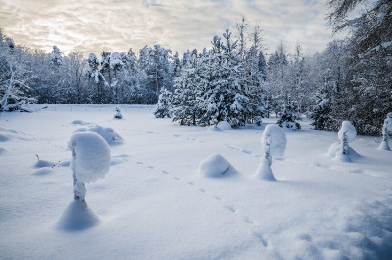 coinbase-ceo-says-crypto-winter-might-last-another-12-18-months