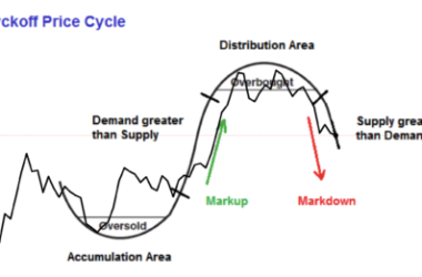 watch:-bitcoin,-wyckoff-theory,-and-the-composite-man-|-btcusd-september-8,-2022