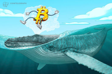 bitcoin-whales-send-btc-to-futures-exchanges-in-‘classic’-bottom-signal