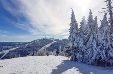 pro-on-crypto-winter:-bitcoin-bottom-will-occur-in-q4