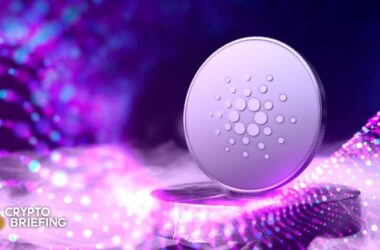 cardano-edges-closer-to-make-or-break-point