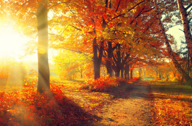 september-roundup:-merge-comes-and-goes,-markets-lag-and-macro-does-its-thing