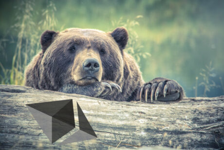 ethereum-gains-so-much-demand-to-buy-at-$500,-will-this-be-possible?