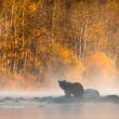 crypto-winter-is-rough.-here-are-five-essential-survival-tips