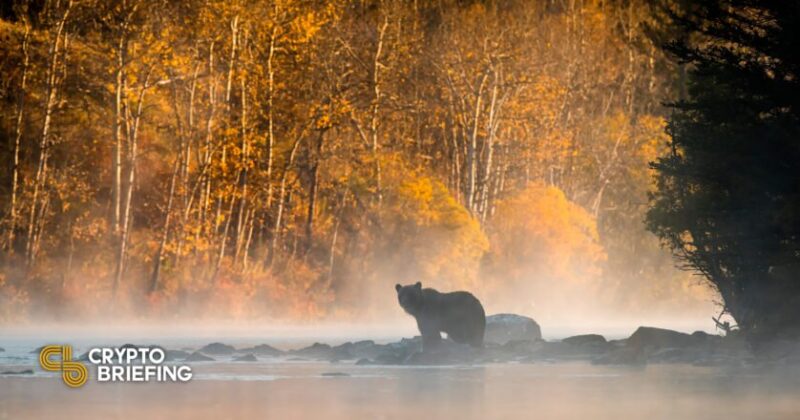 crypto-winter-is-rough.-here-are-five-essential-survival-tips