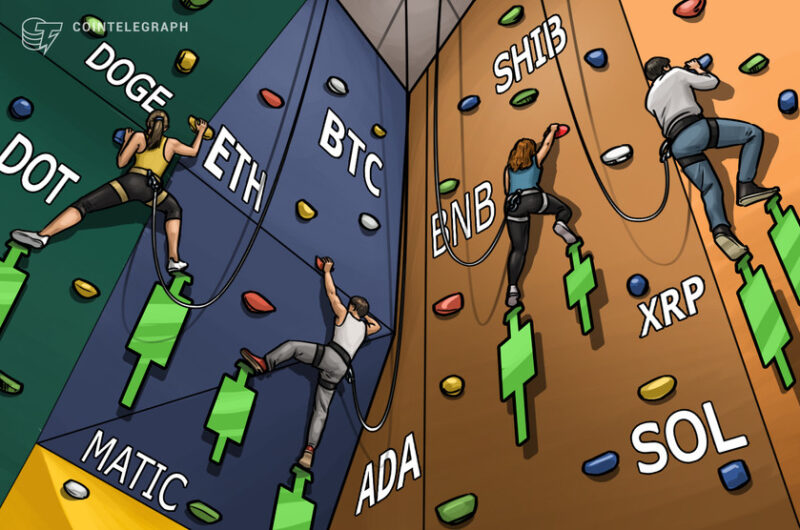 price-analysis-10/19:-btc,-eth,-bnb,-xrp,-ada,-sol,-doge,-dot,-matic,-shib