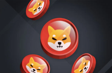 shiba-inu-struggles-as-the-bears-assemble;-can-bulls-push-one-last-time?