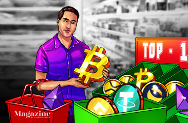 5-years-of-the-‘top-10-cryptos’-experiment-and-the-lessons-learned