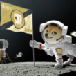 dogecoin-(doge)-cracks-over-150%-in-7-days;-is-the-top-in-yet?