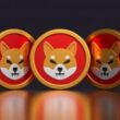 shiba-inu-struggle-continues-as-altcoins-rally-with-over-70%-gain;-here-is-why