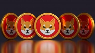 shiba-inu-struggle-continues-as-altcoins-rally-with-over-70%-gain;-here-is-why