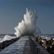 bnb-coin-surges-by-over-20%-during-market-pullback