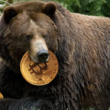 bitcoin-shows-strength-as-price-holds-above-$16,500;-is-this-a-bear-trap?