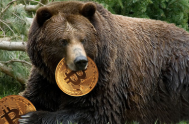 bitcoin-shows-strength-as-price-holds-above-$16,500;-is-this-a-bear-trap?