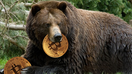 bitcoin-shows-strength-as-price-holds-above-$16,500;-is-this-a-bear-trap?