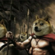 dogecoin-holds-above-0.08;-here-is-why-this-is-good-for-doge-army