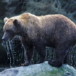 bitcoin-bulls-and-bears-tussle-as-price-stalls-at-16,500;-who-will-come-top?