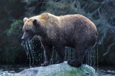 bitcoin-bulls-and-bears-tussle-as-price-stalls-at-16,500;-who-will-come-top?