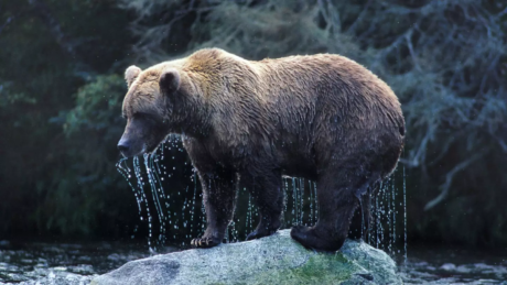 bitcoin-bulls-and-bears-tussle-as-price-stalls-at-16,500;-who-will-come-top?