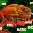 price-analysis-11/18:-btc,-eth,-bnb,-xrp,-ada,-doge,-matic,-dot,-uni,-ltc