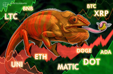 price-analysis-11/18:-btc,-eth,-bnb,-xrp,-ada,-doge,-matic,-dot,-uni,-ltc