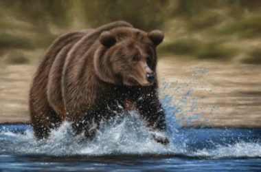 bitcoin-struggles-as-bulls-hold-the-line-–-how-long-before-bears-retest-$14,000?