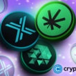 bitcoin-millionaire-wallets-drip-by-80%