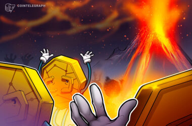is-bitcoin-the-only-crypto-that-will-survive-ftx?-interview-with-bitcoin-maximalist