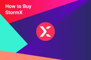 where-and-how-to-buy-stormx-[step-by-step-guide]