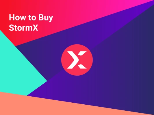 where-and-how-to-buy-stormx-[step-by-step-guide]