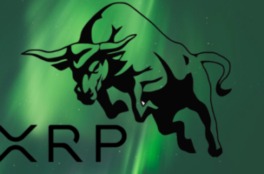 whale-accumulation-paints-bullish-picture-for-xrp