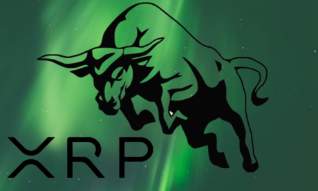 whale-accumulation-paints-bullish-picture-for-xrp