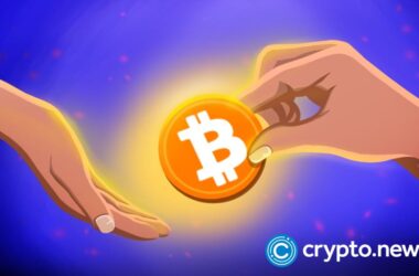 retail-investors-now-hold-17%-of-bitcoin’s-circulating-supply
