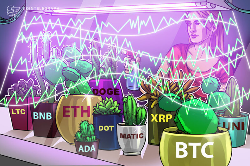 price-analysis-12/23:-btc,-eth,-bnb,-xrp,-doge,-ada,-matic,-dot,-ltc,-uni