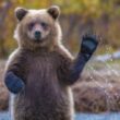 bearish-indicator:-bitcoin-volatility-hits-all-time-low