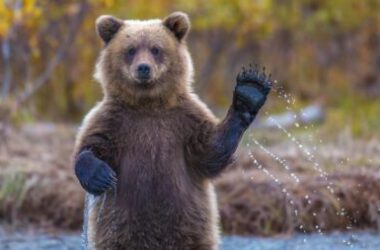 bearish-indicator:-bitcoin-volatility-hits-all-time-low