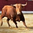 bitcoin-hits-5-month-high-as-bulls-push-btc-above-$23k