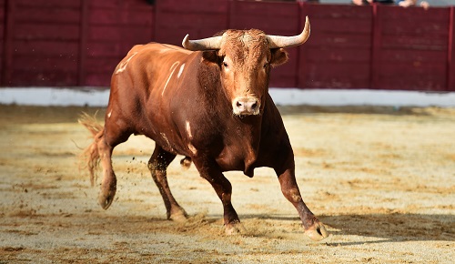 bitcoin-hits-5-month-high-as-bulls-push-btc-above-$23k