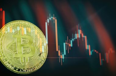 crypto-markets-rallying-but-damage-remains-severe