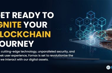 fornax-launches-blockchain-version-1.0-with-limited-supply-of-20-million-coins,-smart-contract-support,-and-cutting-edge-technology
