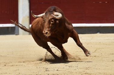bitcoin-briefly-touches-$25.2k-amid-major-bullish-signal