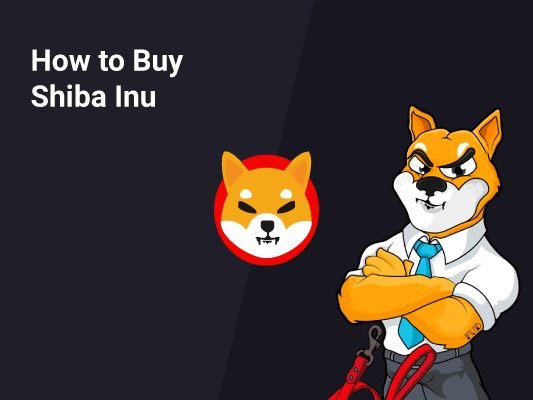how-to-buy-shiba-inu-|-where,-how-and-why