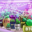 price-analysis-2/24:-btc,-eth,-bnb,-xrp,-ada,-doge,-matic,-sol,-dot,-shib